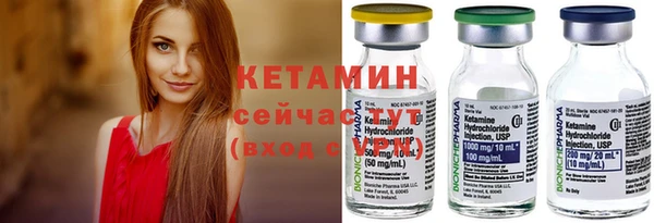 молекула духа Кулебаки