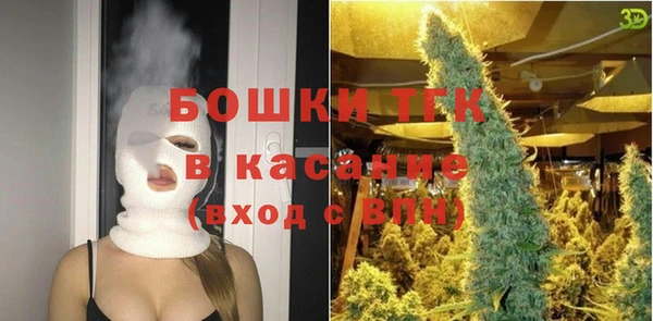 молекула духа Кулебаки