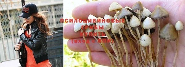 молекула духа Кулебаки