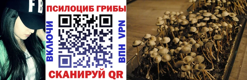 Галлюциногенные грибы Cubensis  ссылка на мегу рабочий сайт  Шатура 