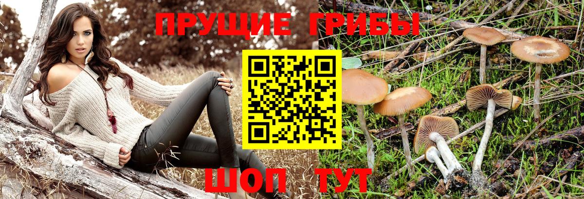 Псилоцибиновые грибы MAGIC MUSHROOMS  Шатура 