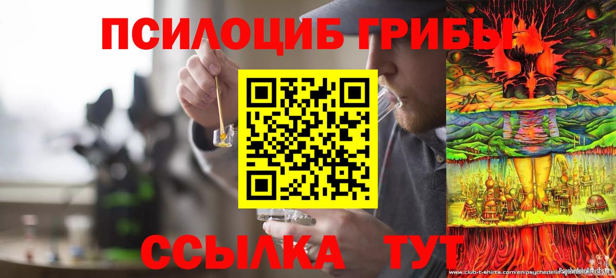 Шатура  Галлюциногенные грибы Psilocybine cubensis  Галлюциногенные грибы Psilocybine cubensis  Вход с VPN 