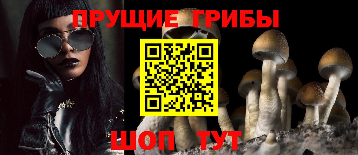 Псилоцибиновые грибы Psilocybe Шатура