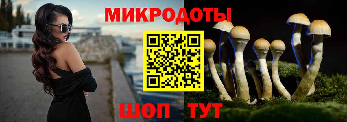 Галлюциногенные грибы Magic Shrooms Шатура