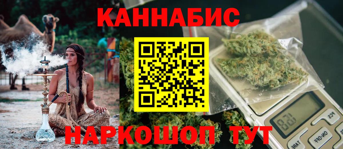 Марихуана сатива Шатура